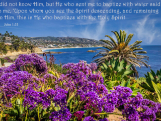 John 1:33
