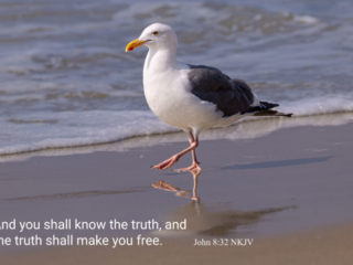 John 8:32
